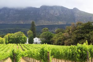 spier-wines-stellenbosch-south-africa