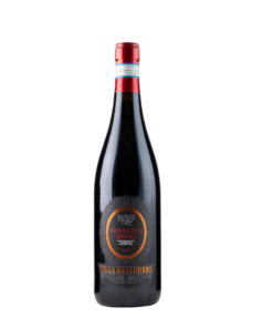 Villa Belvedere Valpolicella Ripasso DOC red wine bottle from Veneto, Italy, made from Corvina, Rondinella and Molinara grapes - available at Urban Grapes