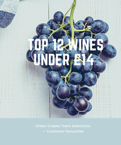 Top 12 Wines Under £14
