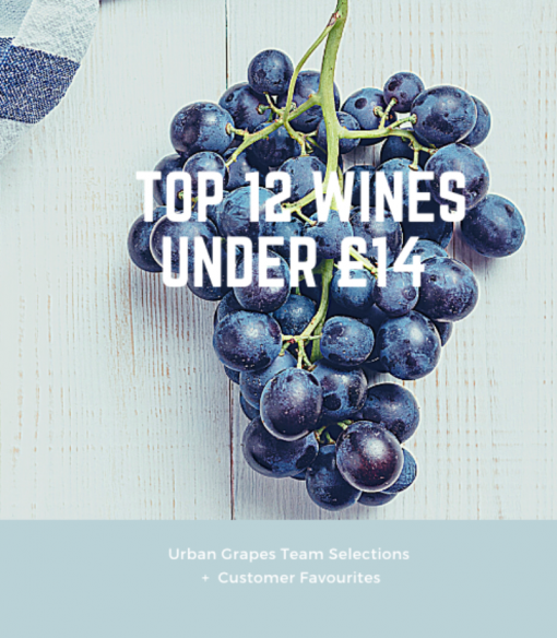 Top 12 Wines Under £14