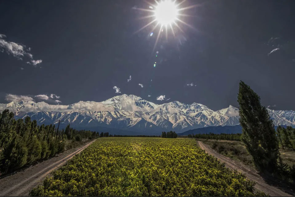 Bodega Catena Zapata Argentina Wines Adrianna Vineyard