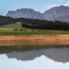 Journey’s End Vineyard, Swartland, South Africa - home of the Reign of Terroir Chenin Blanc Wine Available at Urban Grapes