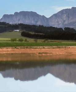 Journey’s End Vineyard, Swartland, South Africa - home of the Reign of Terroir Chenin Blanc Wine Available at Urban Grapes