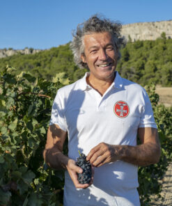 Gerard Bertrand - vineyard and wines