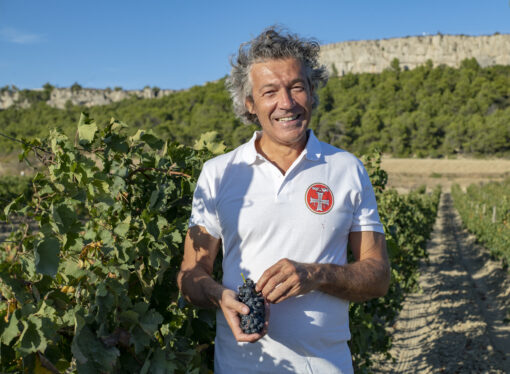 Gerard Bertrand - vineyard and wines