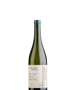 Dogheria Rubicone IGT Pinot Bianco, Italian White Wine