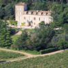 Château Roubine vineyard, Provence, IGP Méditerranée France, home to the Hippy Organic Rosé wine, Available at Urban Grapes