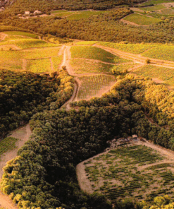 Domaine du Météore vines planted in a real meteor crater in Faugères, France. Home to Le Meteore Rose Available at Urban Grapes