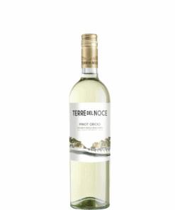 Mezzacorona Terre del Noce Pinot Grigio, Vigneti Delle Dolomiti IGT Italy -wine bottle - available to buy at Urban Grapes