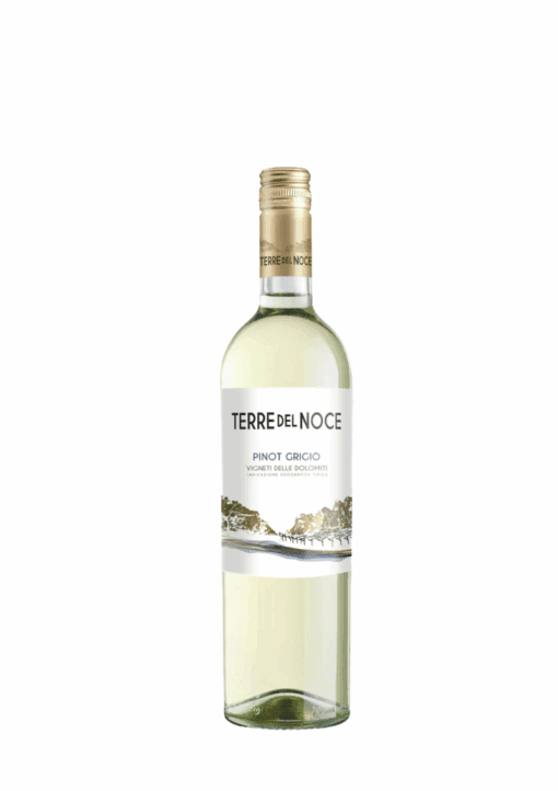 Mezzacorona Terre del Noce Pinot Grigio, Vigneti Delle Dolomiti IGT Italy -wine bottle - available to buy at Urban Grapes