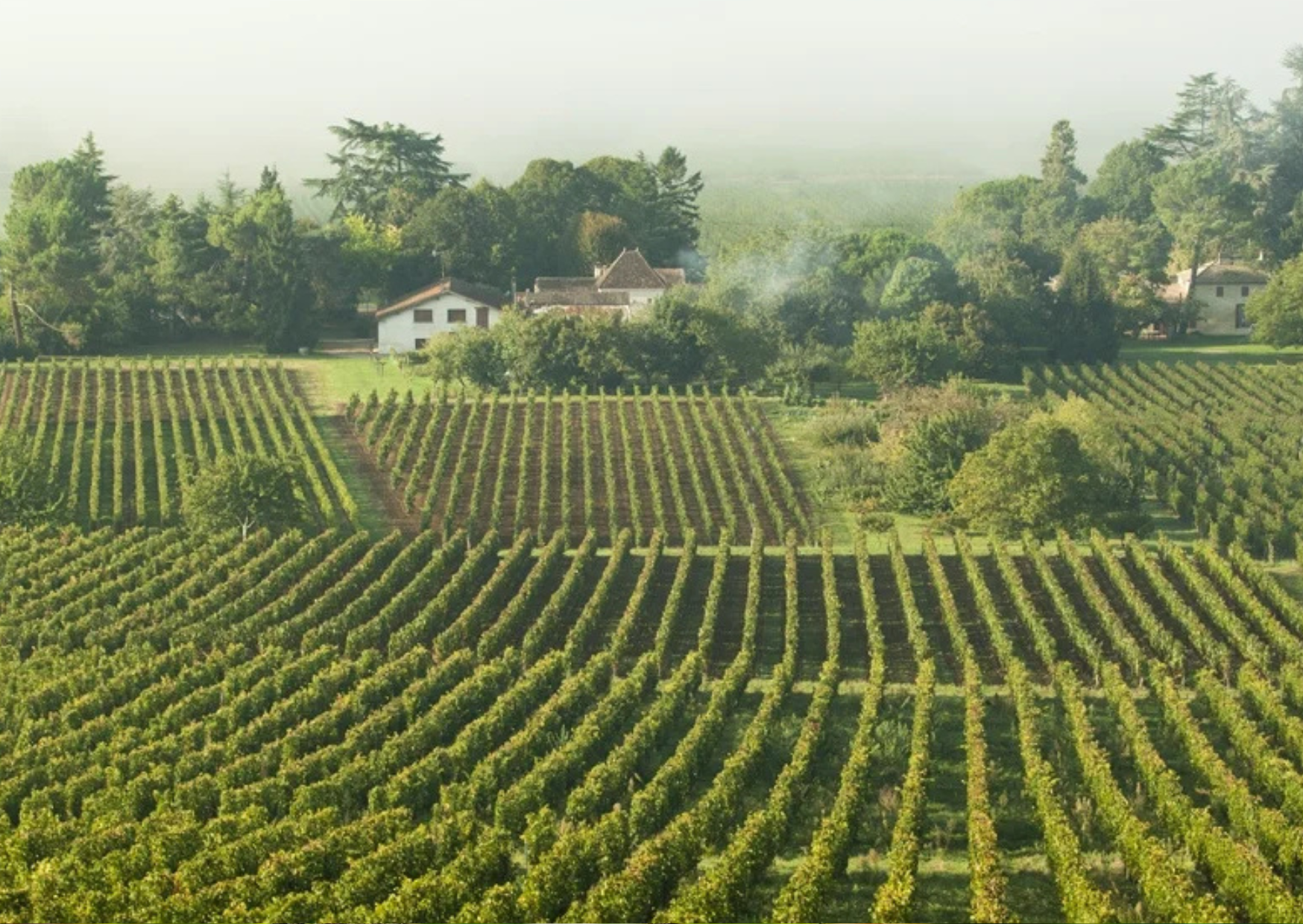 Chateau Gardegan Vineyard, Côtes de Castillon, Bordeaux, France- home of Chateau Gardegan Organic Bordeaux wine, available at Urban Grapes