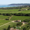 Saint-Roch Les Vignes Rosé, Les  Maitres Vignerons de Saint-Tropez,  Provence, France - Image 2