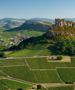 A scenic view of Georges Duboeuf Vineyards in Macons region, France
